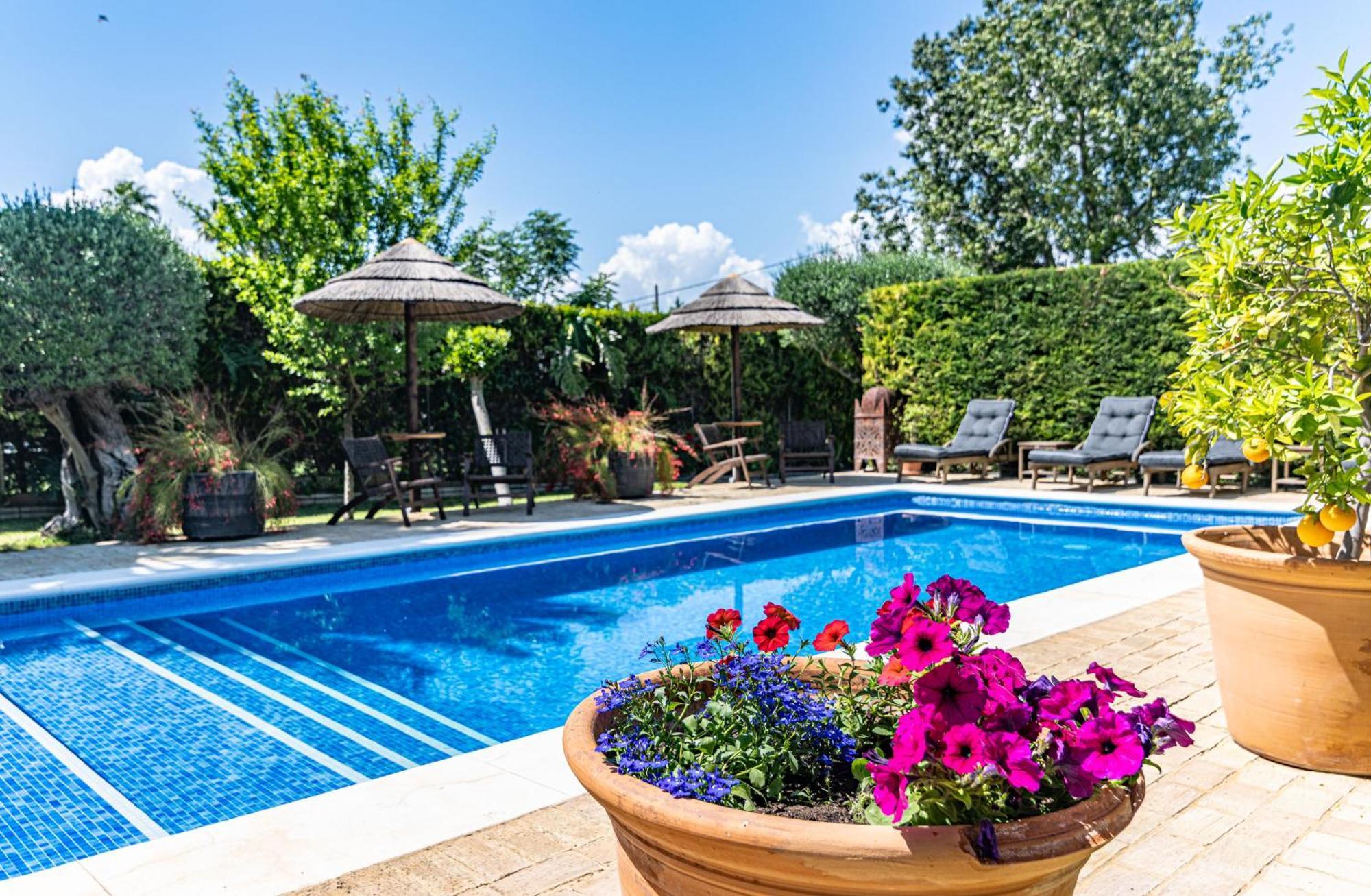 B&B Casa Adelante Sevilla 에스파르티나스 외부 사진