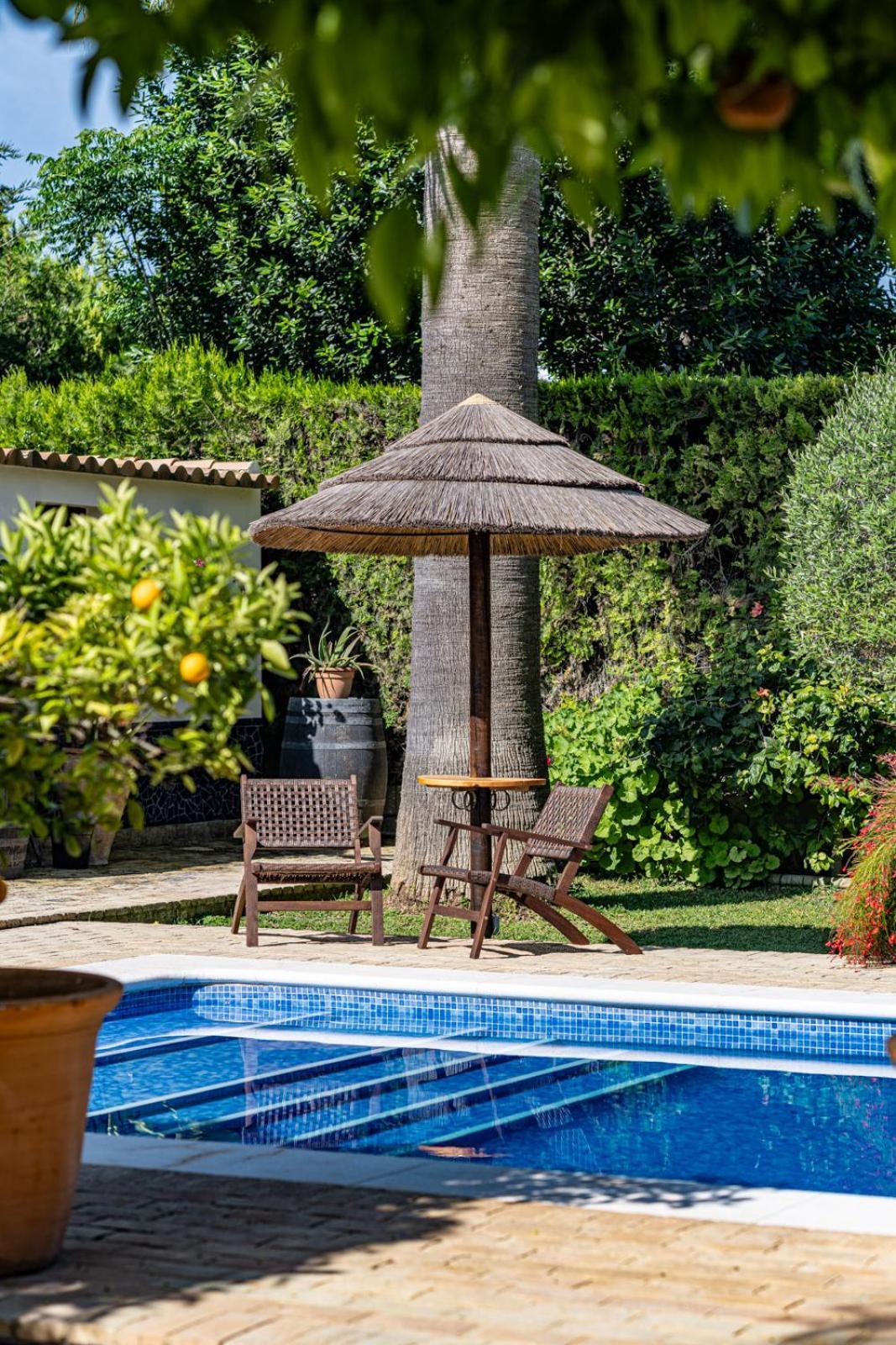 B&B Casa Adelante Sevilla 에스파르티나스 외부 사진